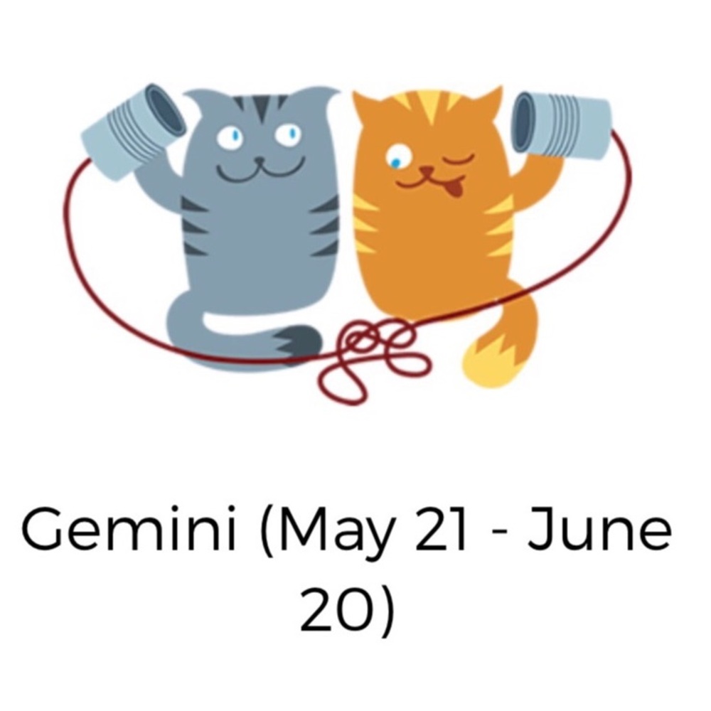 🎂Happy Birthday To My Fellow Gemini Cats🎂